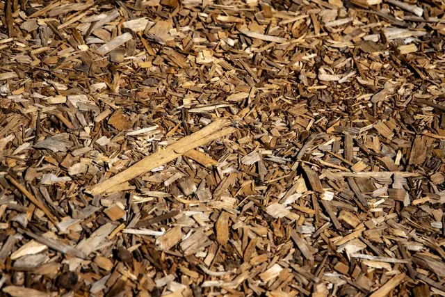 Fresh wood chip mulch